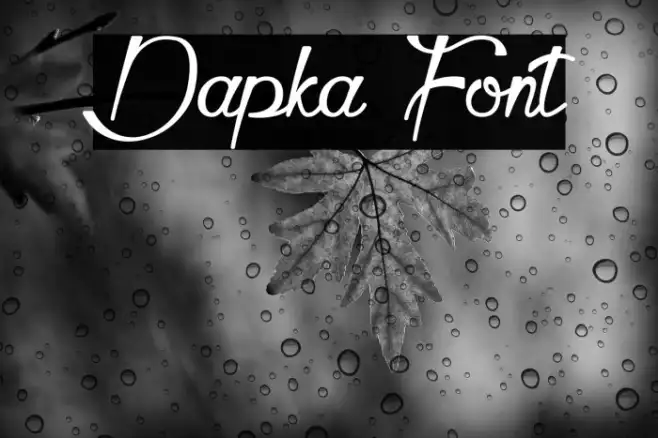 Dapka Example 3