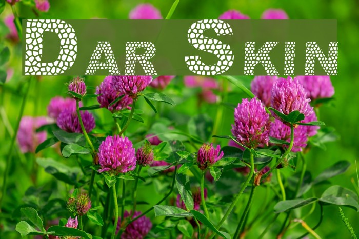 Dar Skin Font examples