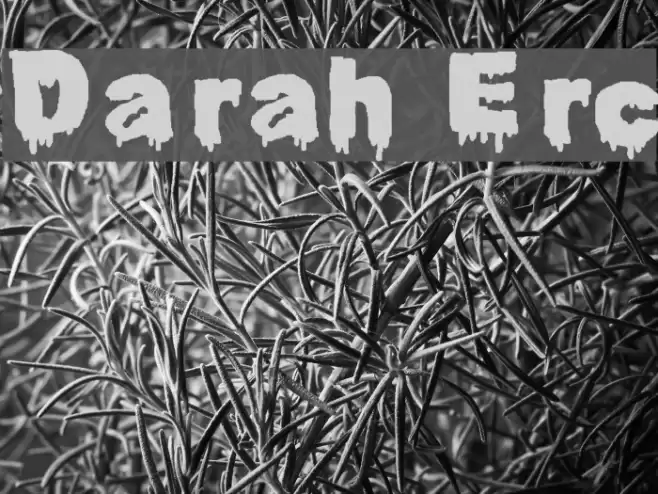 Darah Erc Font examples