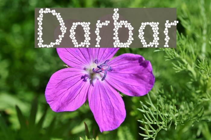 Darbar Font examples