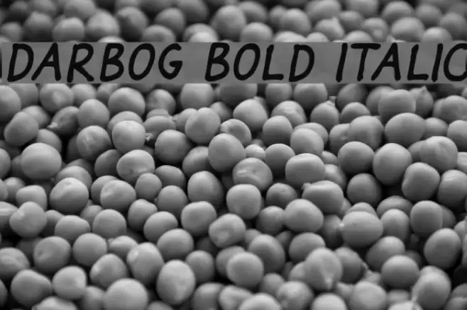 Darbog Bold Italic Font examples