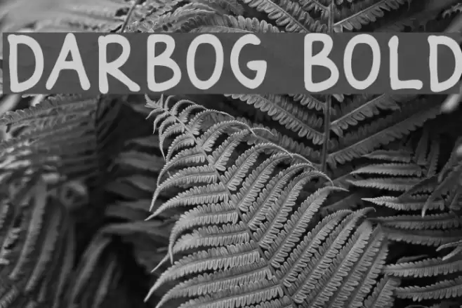 Darbog Bold Font examples