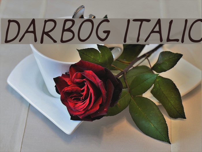 Darbog Italic Font examples