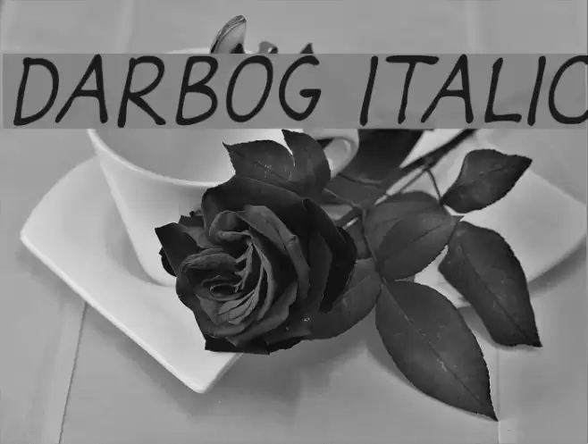Darbog Italic examples