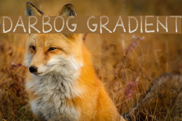 Darbog gradient Example 1