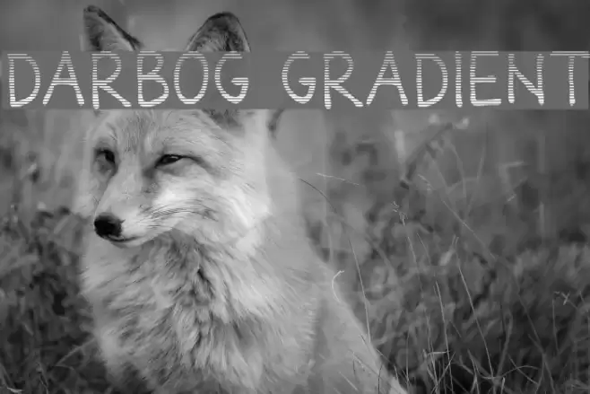 Darbog gradient Font examples