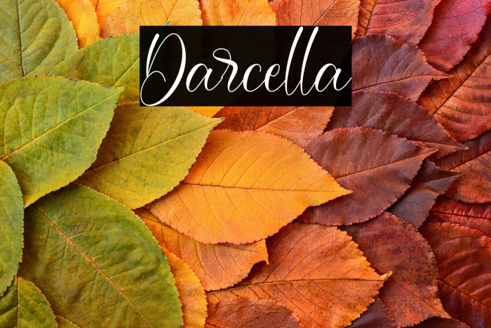 Darcella Example 3