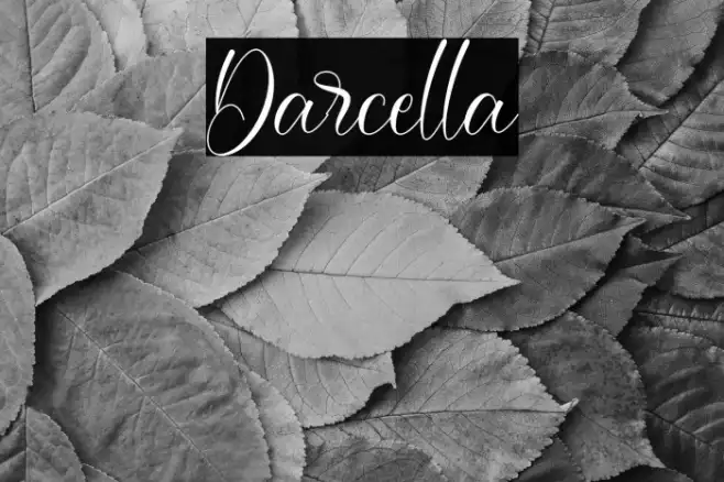 Darcella Example 3