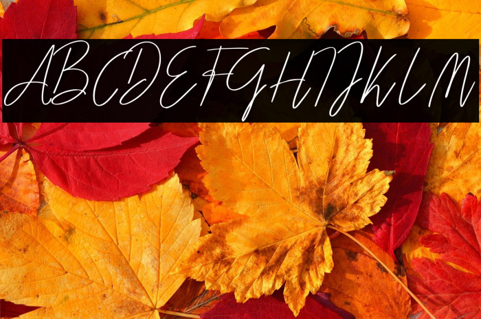 Darcey Oliver Regular Example 1