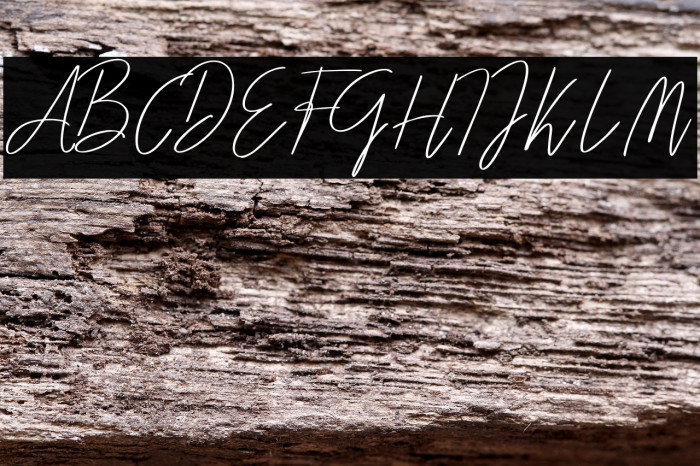 Darcey Oliver Regular Example 3