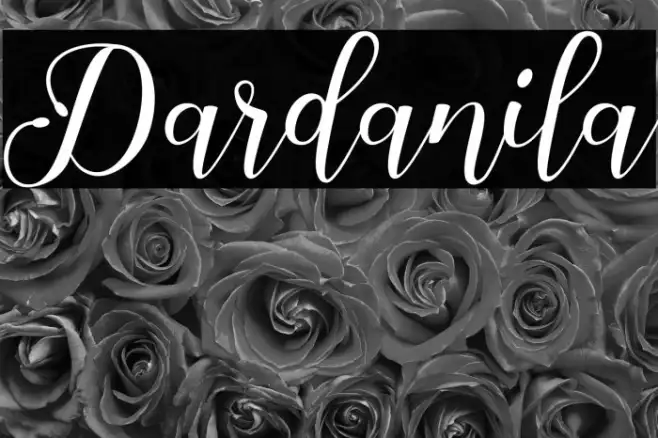 Dardanila Example 1