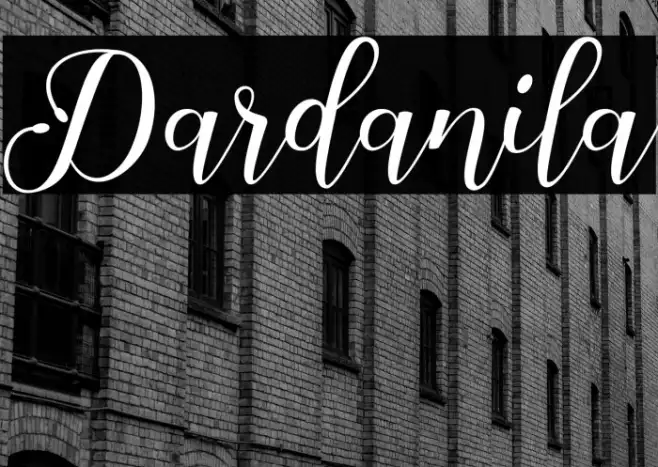 Dardanila Example 2