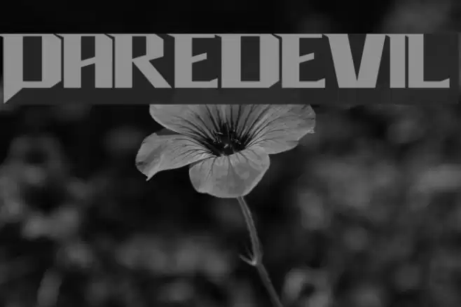 Daredevil Font examples