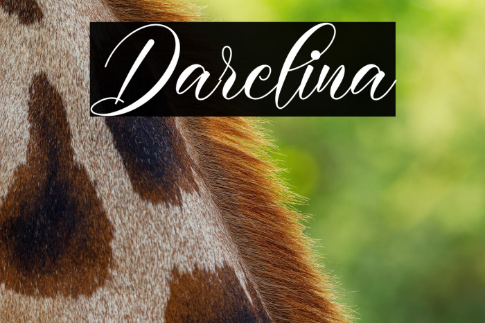 Darelina Example 2