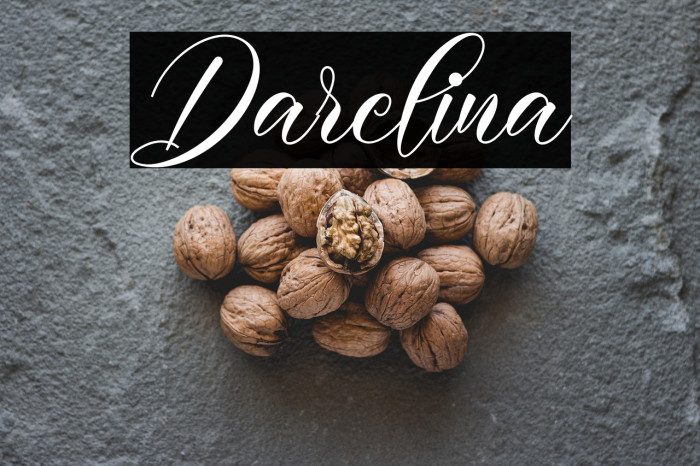 Darelina Example 3