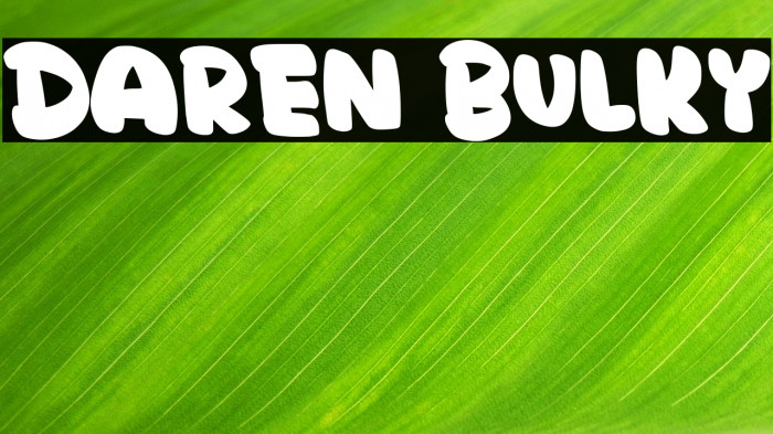 Daren Bulky Example 3