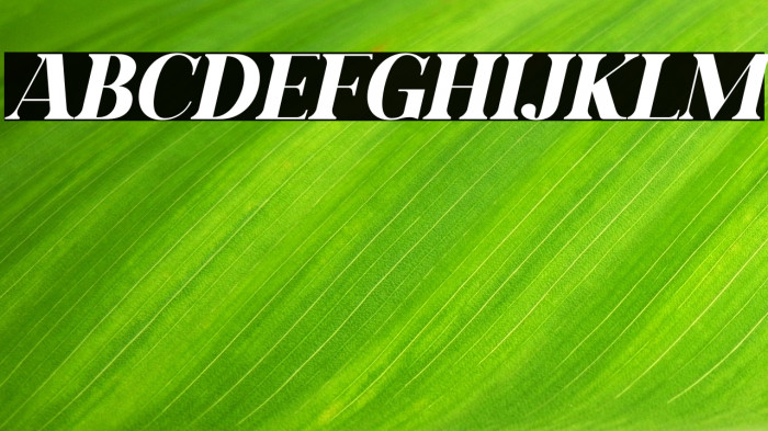 Daretro Mandra Italic Example 2