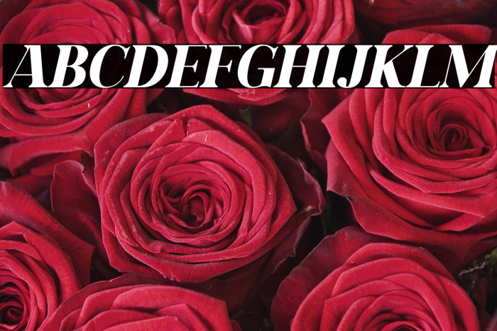 Daretro Mandra Italic Example 3