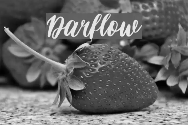 Darflow Font examples