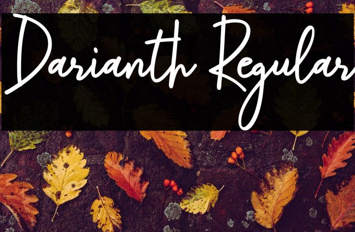 Darianth Regular Example 3