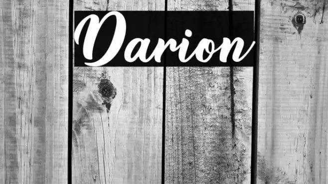 Darion Font examples