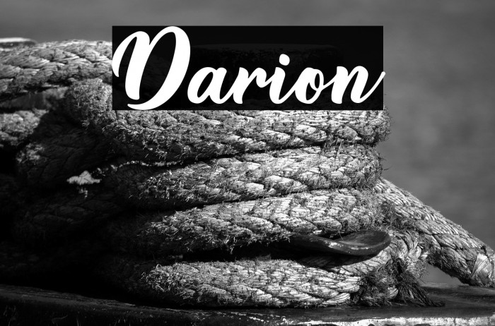 Darion Example 2