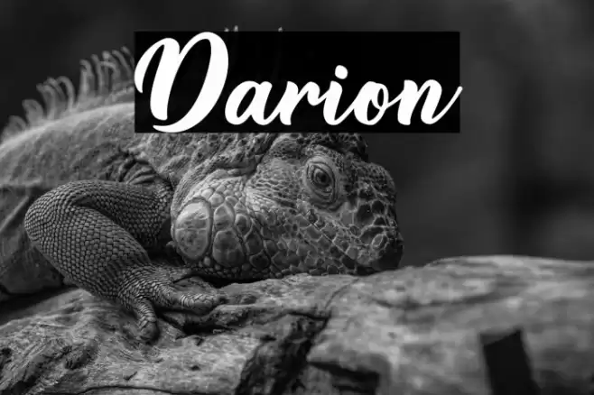 Darion Font examples