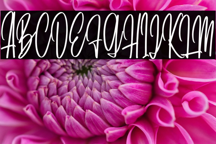 DaritaScriptDEMO-Regular Example 1