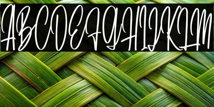 DaritaScriptDEMO-Regular Example 2