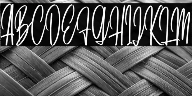 DaritaScriptDEMO-Regular Font examples