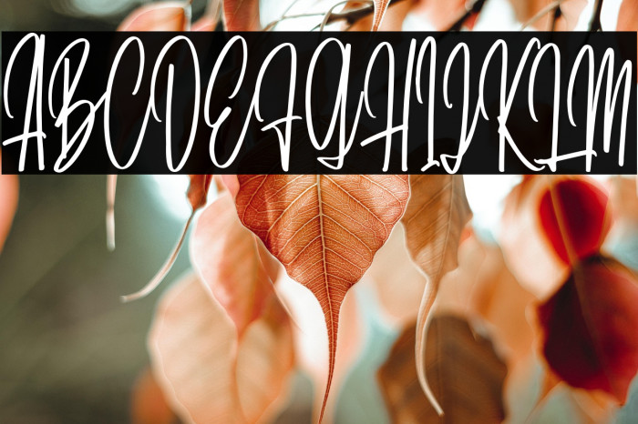 DaritaScriptDEMO-Regular Example 3