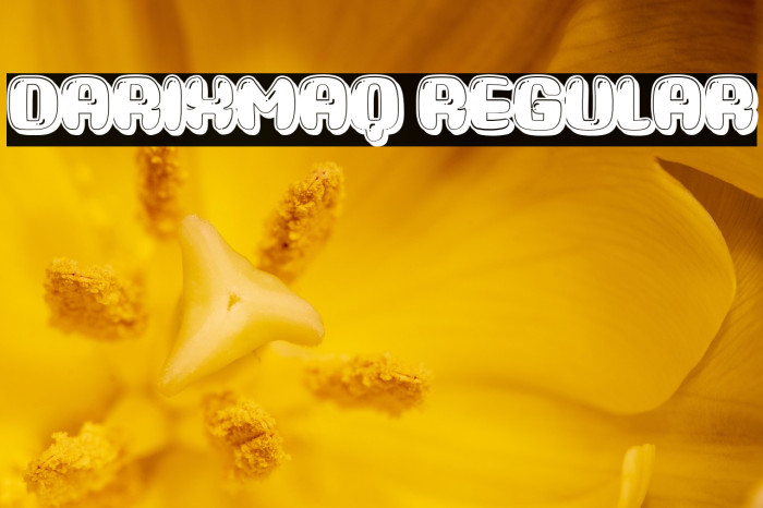 Darixmaq Regular Example 2