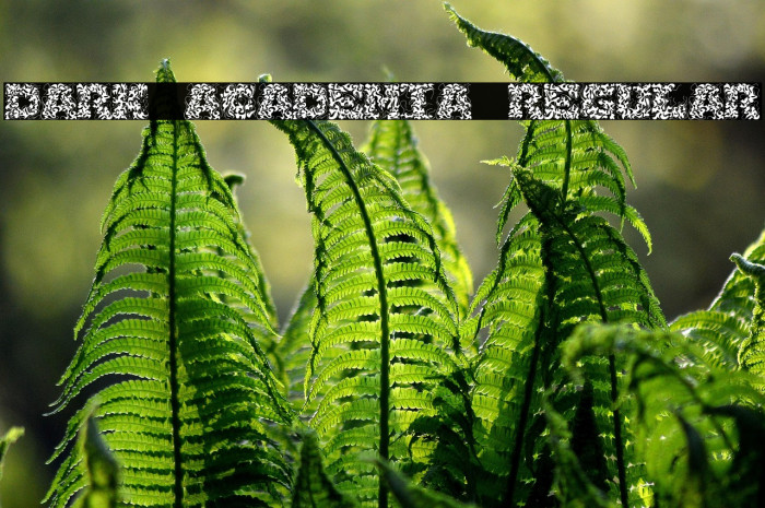 Dark Academia Regular Example 1