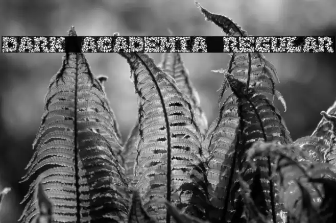 Dark Academia Regular Font examples