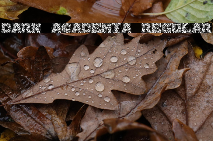 Dark Academia Regular Example 2