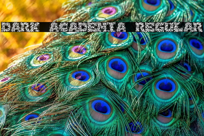 Dark Academia Regular Example 3