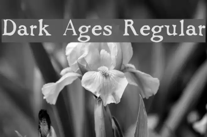 Dark Ages Regular Polices examples