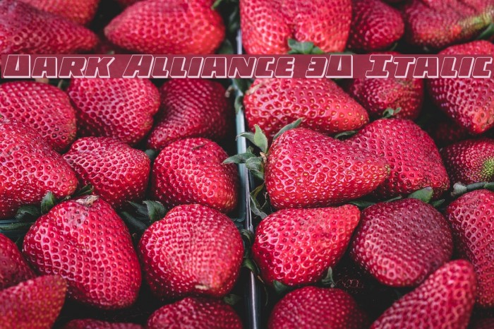 Dark Alliance 3D Italic Font examples