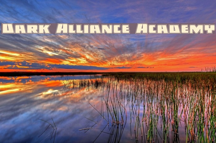 Dark Alliance Academy Example 3