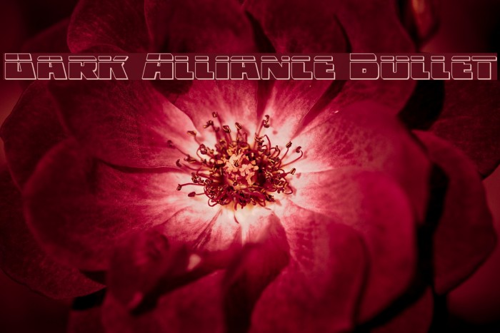 Dark Alliance Bullet Font examples