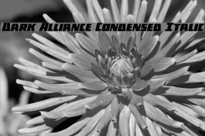Dark Alliance Condensed Italic Font examples