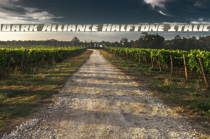Dark Alliance Halftone Italic Example 3
