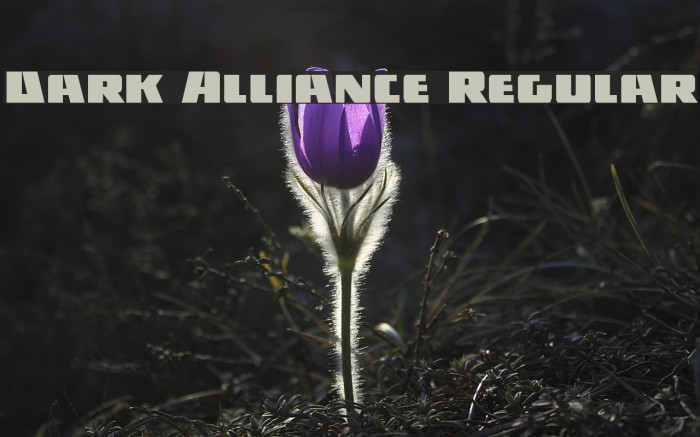 Dark Alliance Regular Example 2