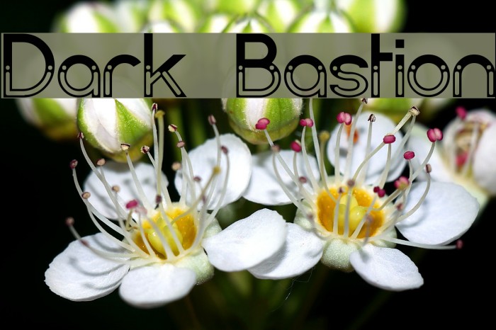 Dark Bastion Fonte examples