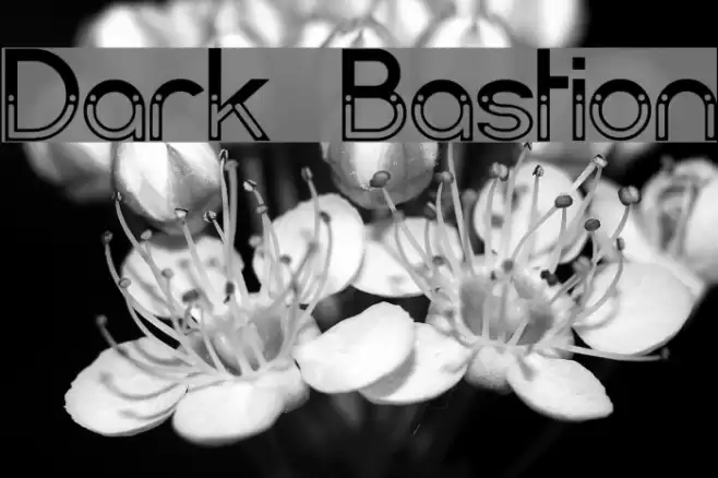 Dark Bastion Font examples