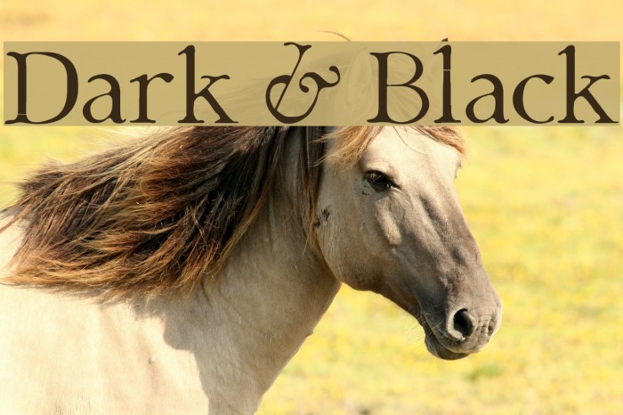 Dark & Black Font examples