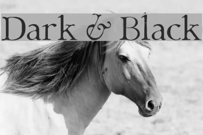 Dark & Black Example 2