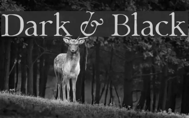 Dark & Black Example 3