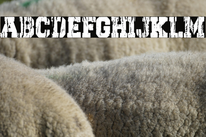 Dark College Example 1