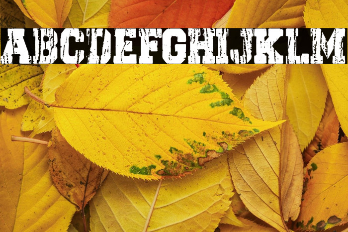 Dark College Example 2